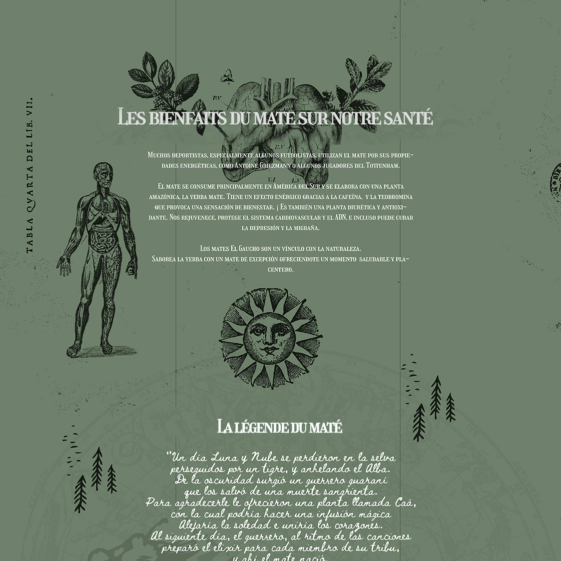 Diseño de sitio web y flyer para El Gaucho, marca de mates y yerba.